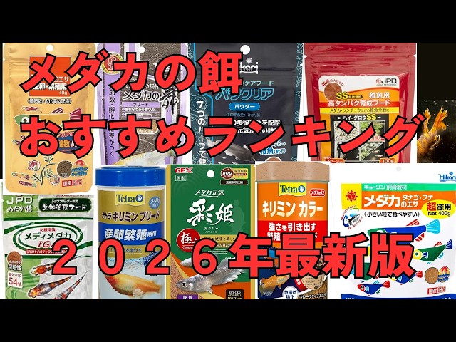 2026 Latest Ranking of Recommended Medaka Foods! What is the best