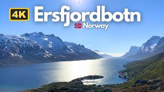 Ersfjordbotn Tromso Norway 🏔️ Arctic Nature 🌎 Walking Tour 4K