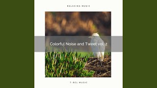 Music of the Country of Colorful Noise with Bird Calls pt. 1