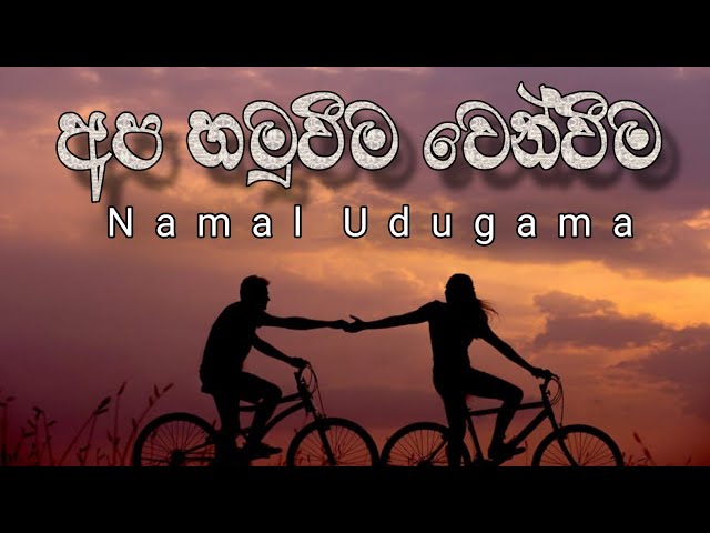 Apa Hamuweema Wenweema Song |  අප හමුවීම වෙන්වීම | Ridma Music World class=