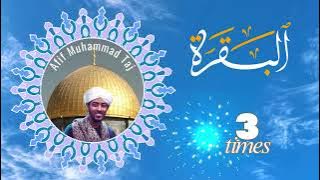 Soothing Recitation | Qirāʾat Hafs | Surah Al-Baqarah |  3 Times | سورة البقرة  | Afif Mohamed Taj