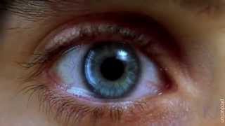 Kings of leon - Closer - unofficial video -