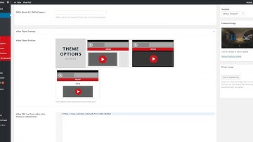 Youtube Playlist & Channel Import to WordPress