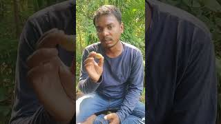 A talks on theory of evolution and DNA data.