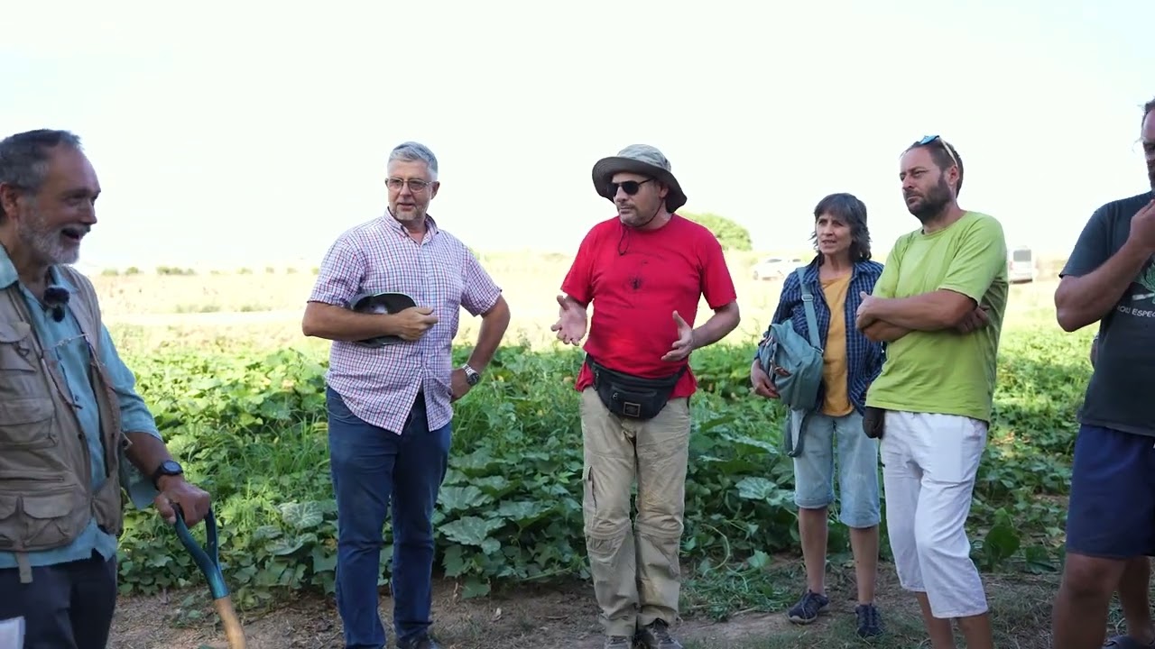 Horticultura amb elmínim treball de sòl. Visita parcel·la demostrativa Projecte Regensòl (parte 1)