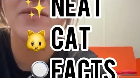 Watch the video about Neat Cat Facts ~ Color Point Genetics