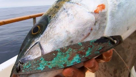 Jig Chucker's Ball: Part 2: San Diego