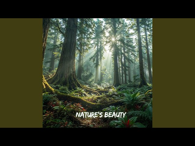 Nature’s Beauty