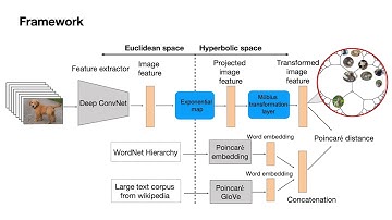 Hyperbolic Visual Embedding Learning for Zero-Shot Recognition