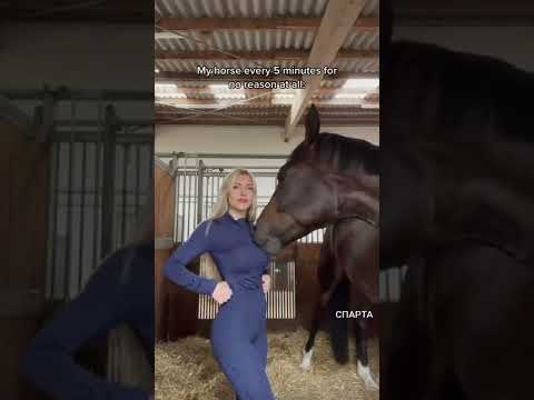 سکس موز تیکتوک Konami Kosovapresslive Kos 