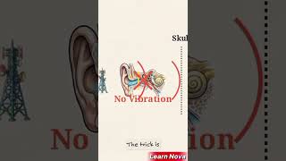 Details How Voice to Skull Technology Works #learnnova #ai News