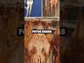 Fotos Raras Que Tienes Que Ver 20 #raro #fotos #fotosraras