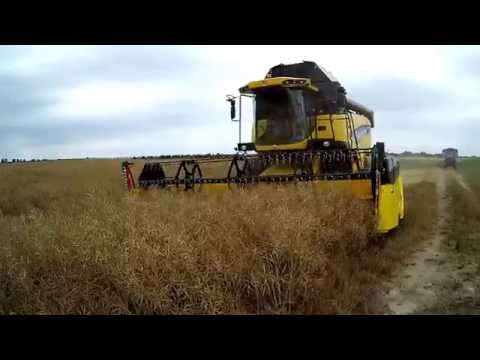 Żniwa 2015/ Nowy