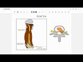 SCIATICA