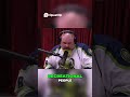 Fossil Finds Explode! Why Everyone's Finding Cool Stuff Right Now #interview #podcast