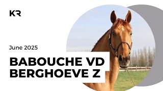 BABOUCHE VD BERGHOEVE Z