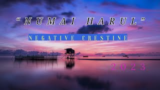 Video thumbnail of "" Numai harul "  * negative creștine"