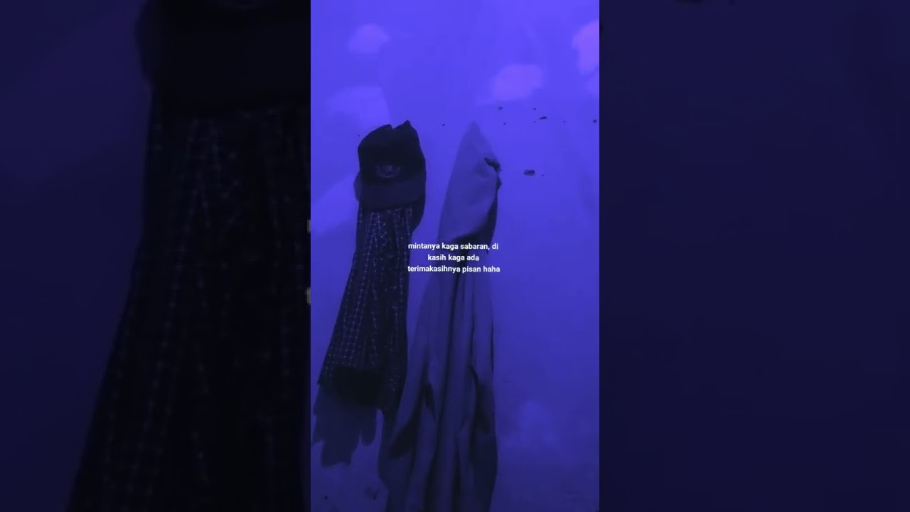 terima kasih dong kali kali | vidio baru || short vidio || story wa kata kata artis || masipul