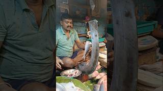 Super Fast Big Hilsa Fish Cutting