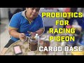 How to Make Carbo base Probiotics for Racing Pigeons
