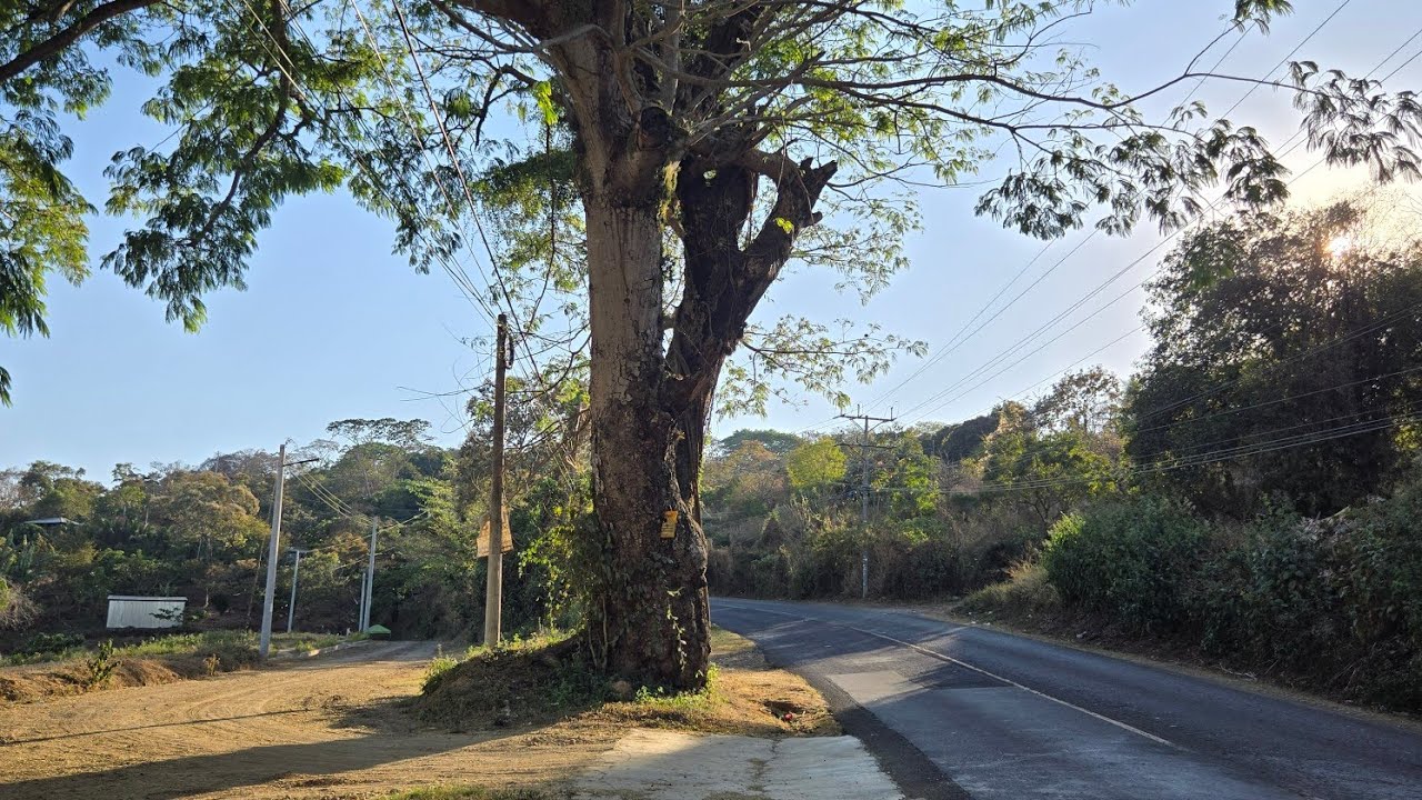 Conozca una de las colonias abandonadas en el municipio de santiago de Maria #usulutan 