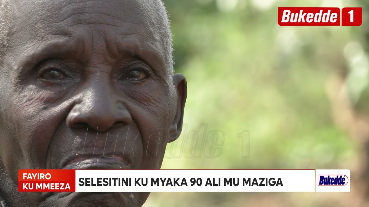 Дело на столе: 90-летний Селестини жалуется на мошенников, которые обманным путем отобрали у него...