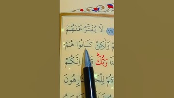 سورة الزخرف الأية 74 إلى 78 بصوت سعد الغامدي