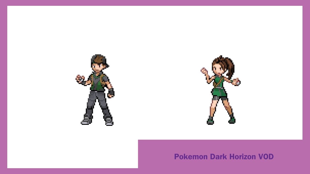 The Final Dungeon | Pokemon Dark Horizon Part 6
