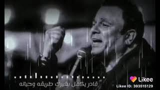 قلبى اللى حبك رنه جديده محمد فؤاد❤️❤️❤️