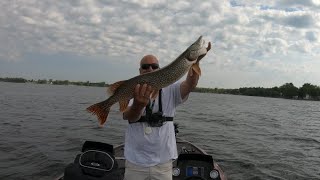 Ditch Fishing Charter -Chaumont Bay 2022 Smallmouth bass