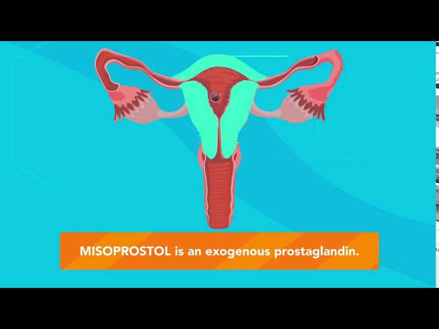 How does MISORPOSTOL work?
