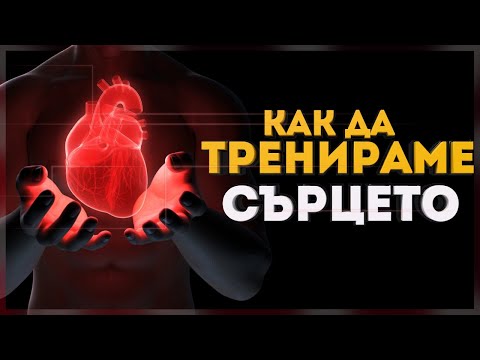 СЪРЦЕ. Как да го съхраним? Кардио!