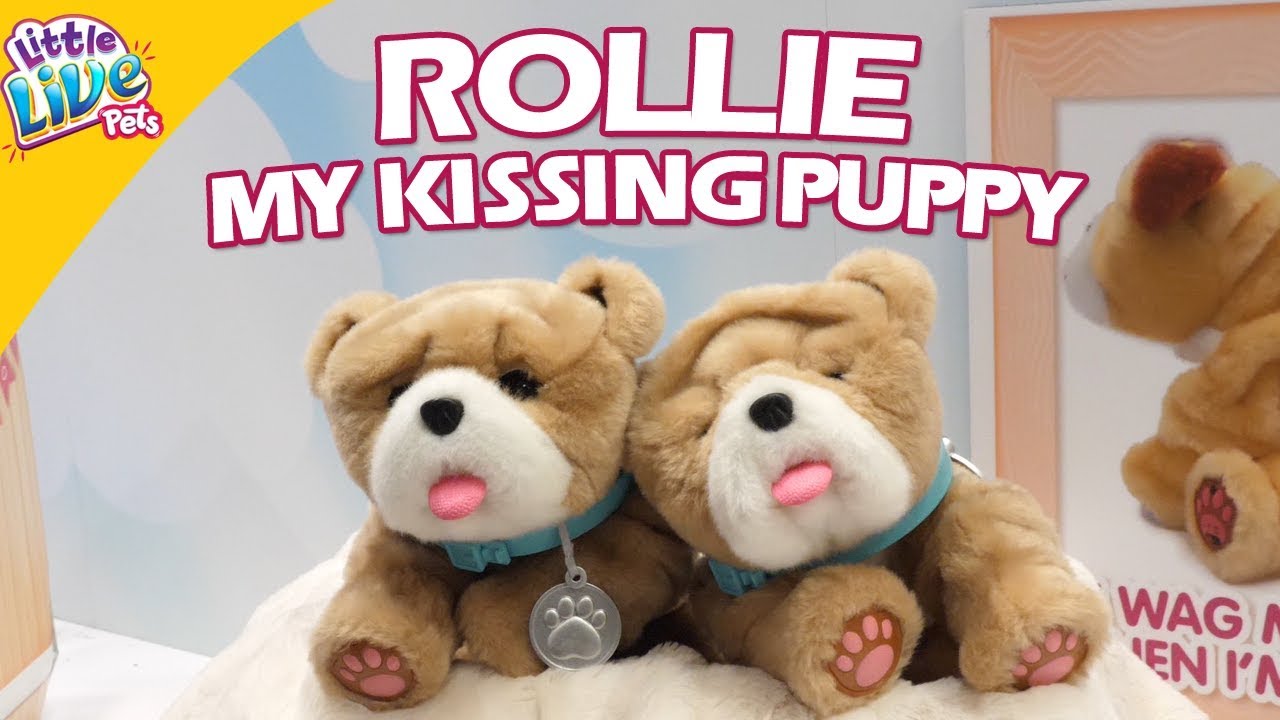 rollie kissing puppy toy