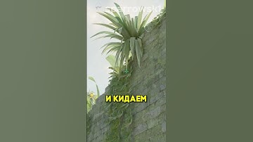 соло-скрипт на Ancient | #counterstrike #counterstrike2 #cs2 #раскидка #кс2