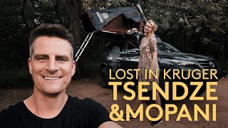 TSENDZE and Tamboti - Lost in Kruger (4K)