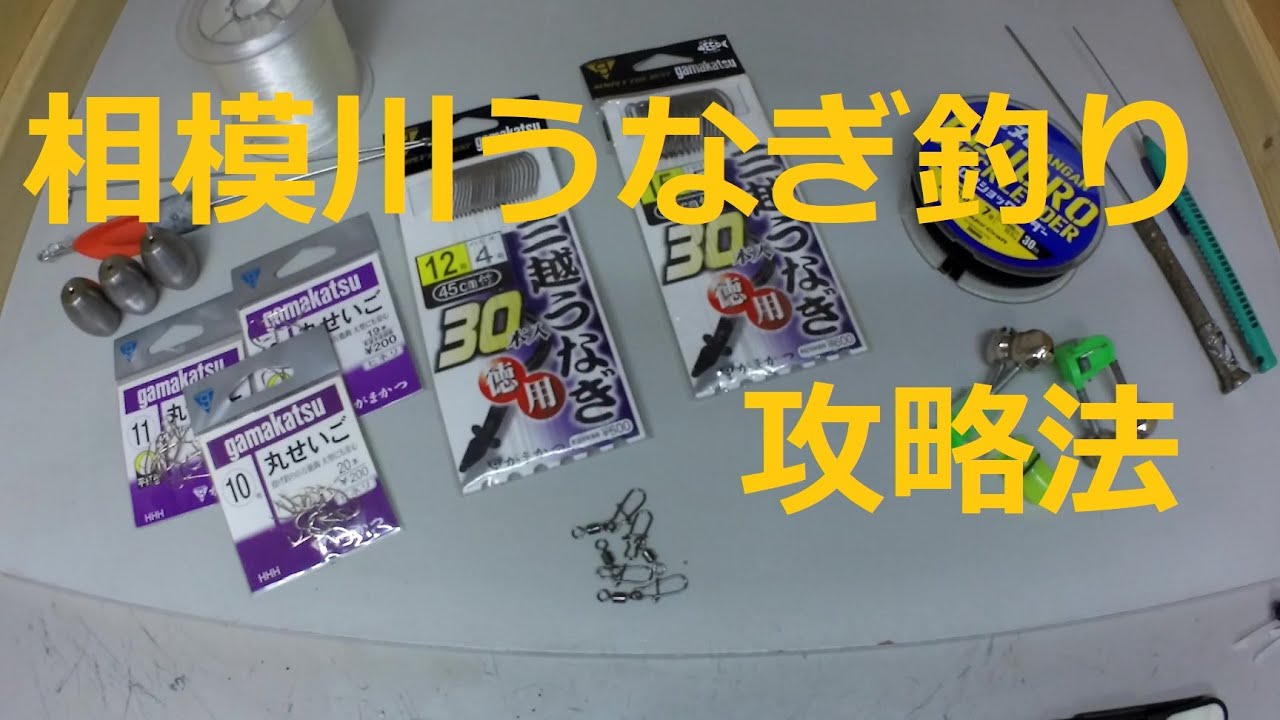 相模川 うなぎ釣り攻略法 - YouTube