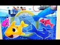 Baby Shark Family is in Danger! Pinkfong! Rescue the Baby Shark with a Landing Net! #PinkyPopTOY