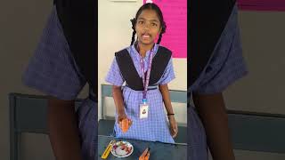 project on conic section #school #science #sciencefair #mathematics #education