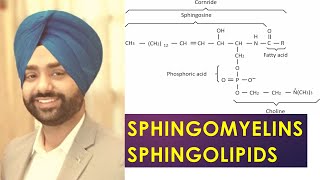 SPHINGOMYELINS//SPHINGOLIPIDS