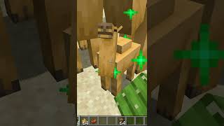 Minecraft: 1.20 Geldi  [ Yenilikler ] ⛏🧱 #shorts  #minecraft #minecraftmemes