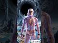 What If a Black Hole Came Near Earth?#BlackHole#Space#Apocalypse#Skeleton #shorts