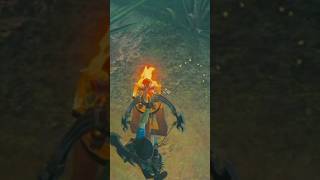 獣神の弓の5連射を使った木の矢の無限回収 #ゼルダの伝説#ゼルダの伝説ブレスオブザワイルド#nintendo #legendofzeldabreathofthewild