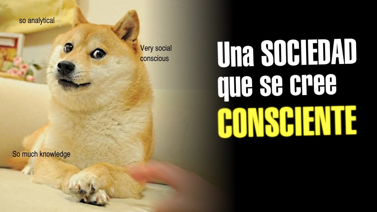 El Triunfo De La Falsa Consciencia Social YouTube