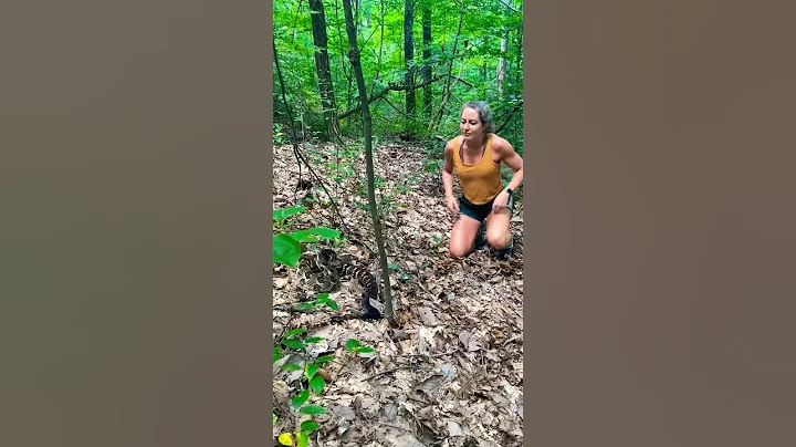 A big Timber! #nature #wildlife #animal #snake #rattlesnakes #hunting #fishing #outdoors