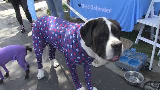 Famous Shed Defender - America's Family Pet Expo 2019 Net Worth