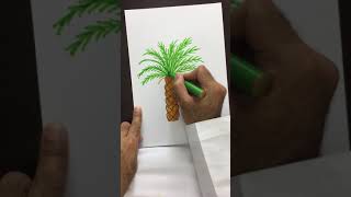 Palm tree  شجرة نخلة رسم