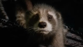 Guardians of the galaxy vol 3 “Creep” Opening scene