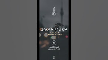 جَاءَ رَجُلٌ مِّنْ أَقْصَى الْمَدِينَةِ يَسْعَىٰ | #quran #قرآن #ريان_المحيسني #سورة_القصص #تلاوات