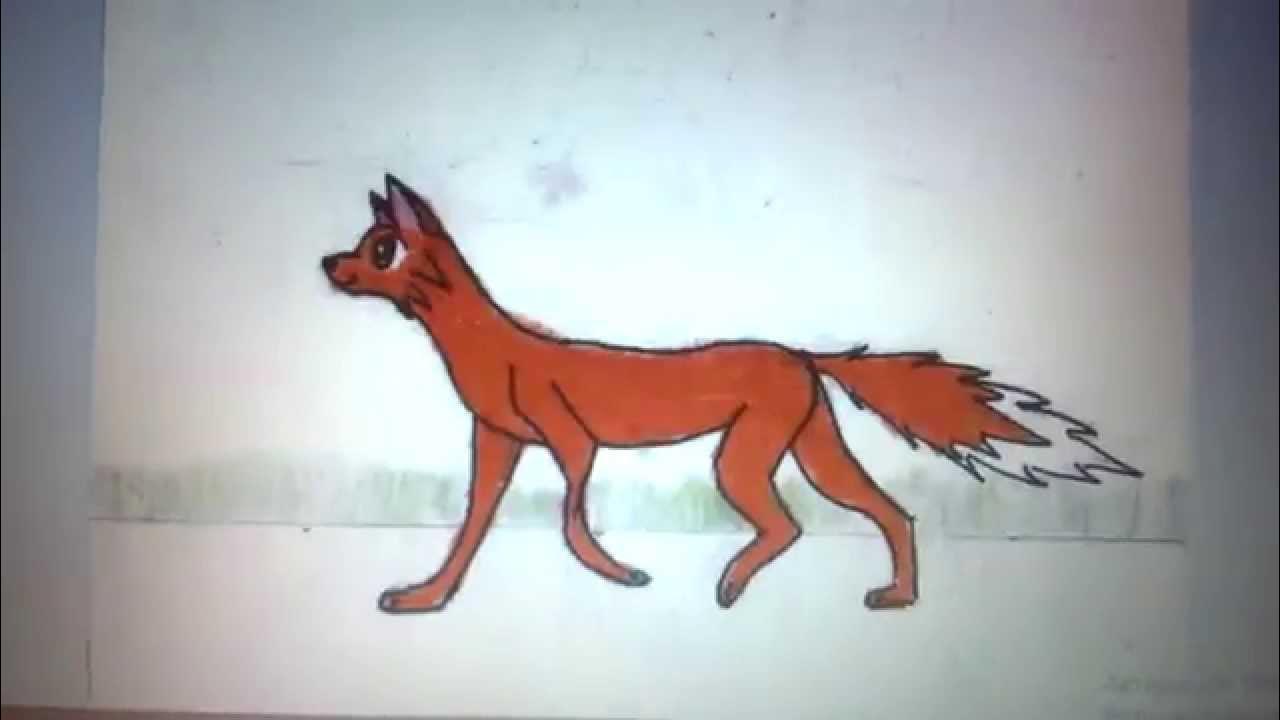 Aka fox