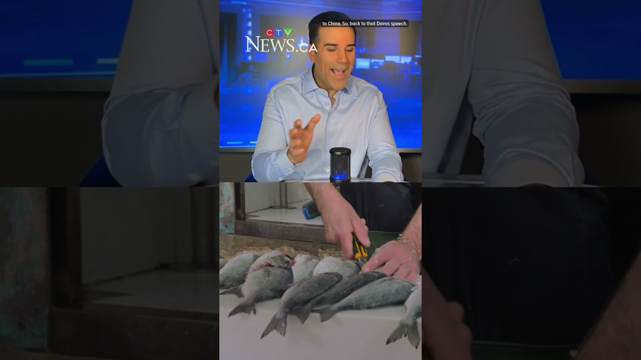 Trump vs. Carney: What to know about the ongoing tension